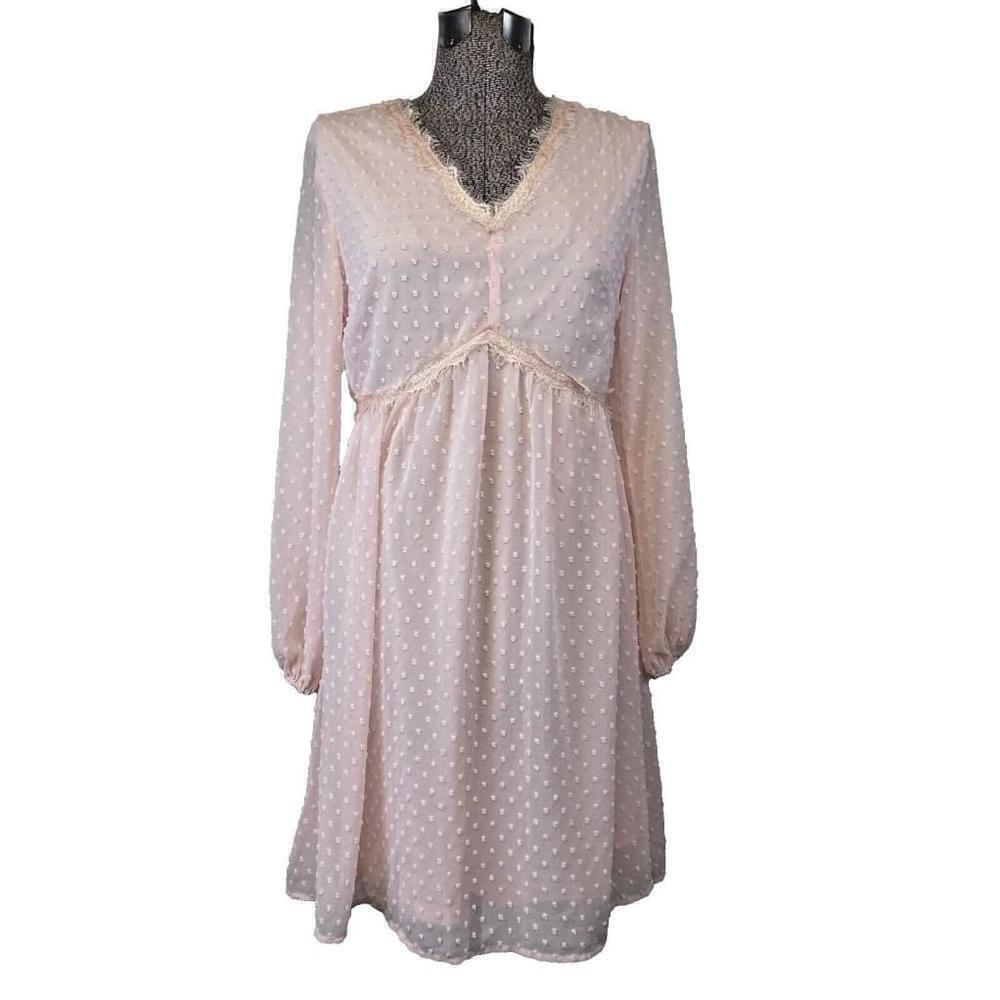 NEW! Pink Sheer Dress Long Puff Sleeved Emroider Lined Cottagecore Fairy Medium
